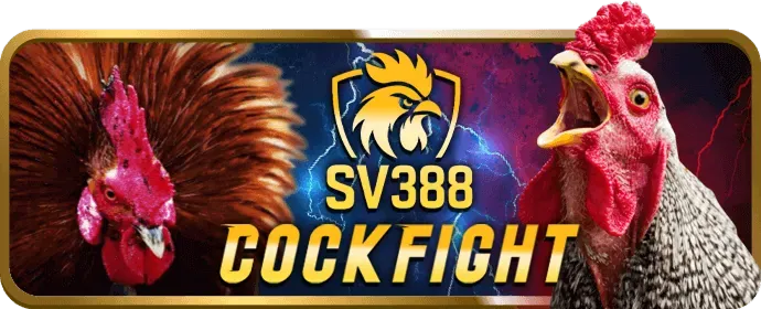 Cá cược bóng đá b29 game